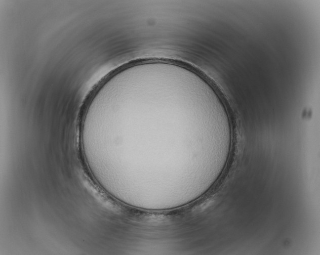 X0000111830982200908131542