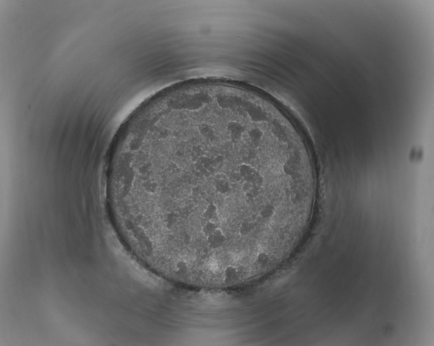 X0000111830983200908131542