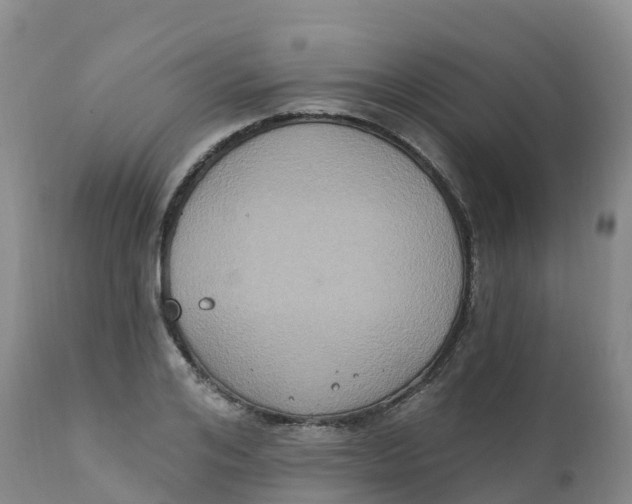 X0000111830984200908131542