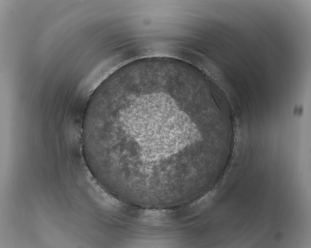 X0000111830985200908131542