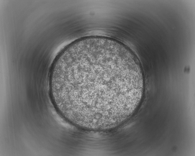 X0000111830987200908131542