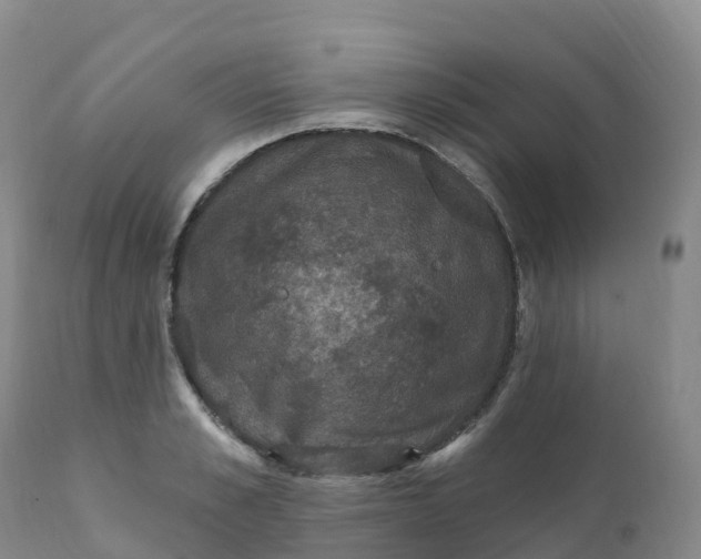 X0000111830989200908131542