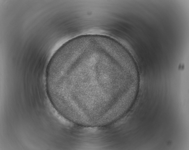 X0000111830990200908131542