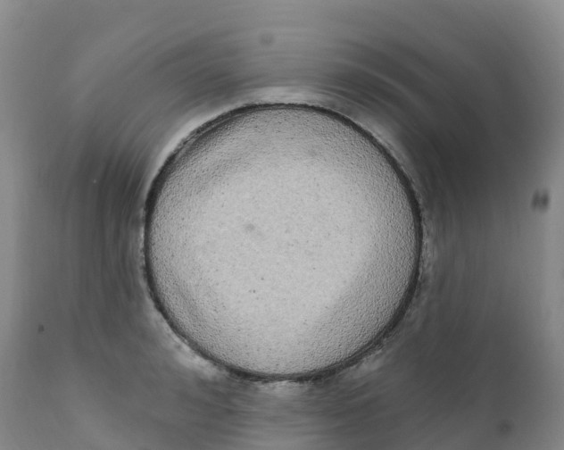 X0000111830992200908131542