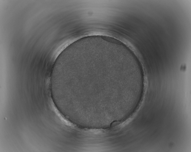 X0000111830993200908131542