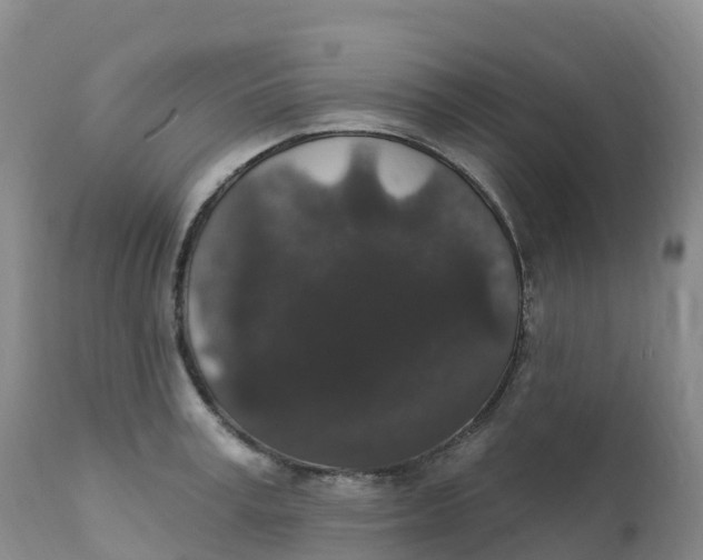 X0000111830995200908131542