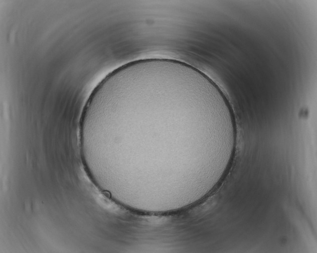 X0000111830996200908131542