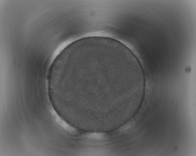 X0000111830998200908131542