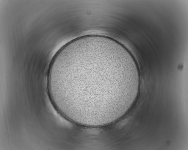 X0000111830999200908131542