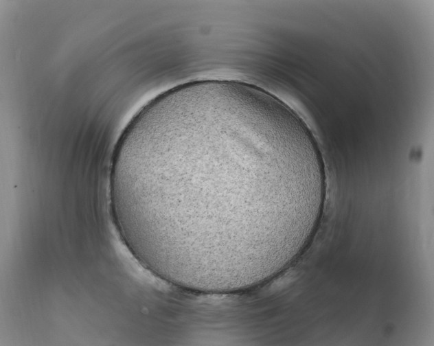 X0000111831000200908131542