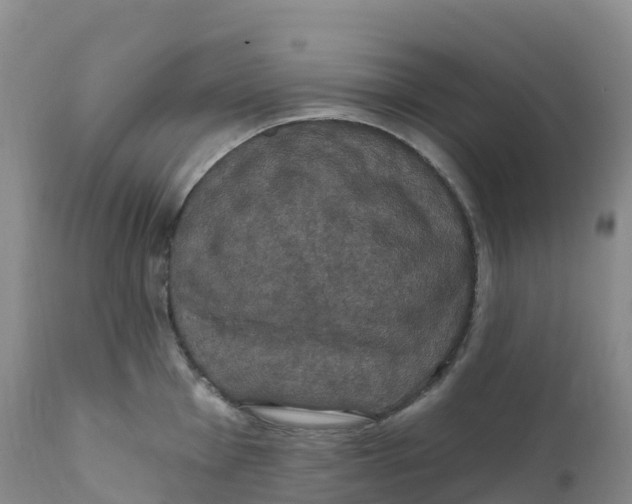 X0000111831001200908131542