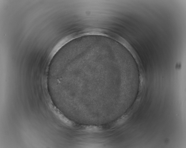 X0000111831002200908131542