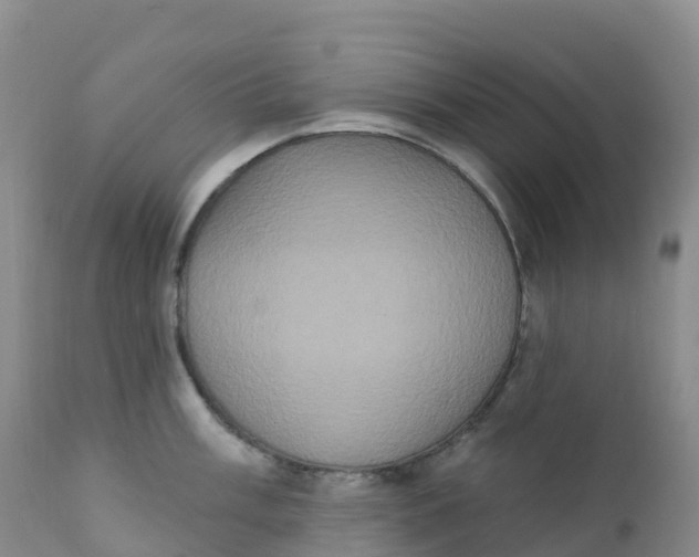 X0000111831003200908131542