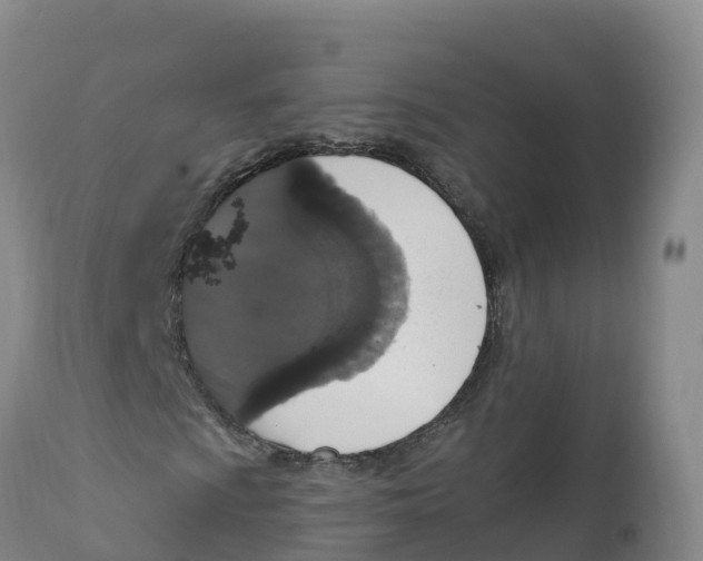 X0000111831009200908131541