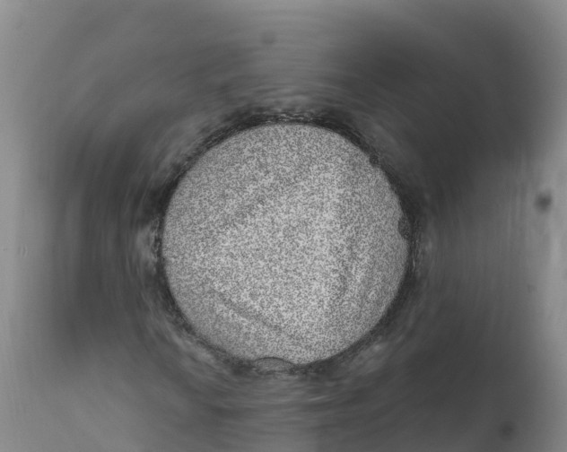 X0000111831010200908131541