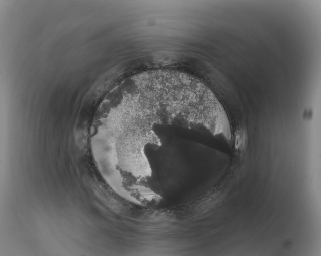 X0000111831011200908131541