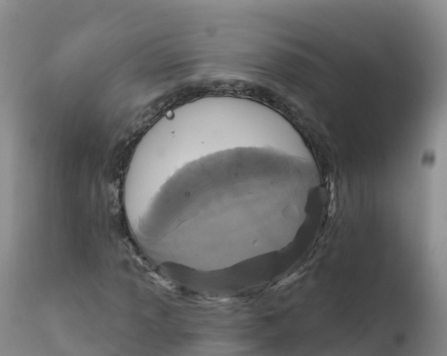 X0000111831013200908131541