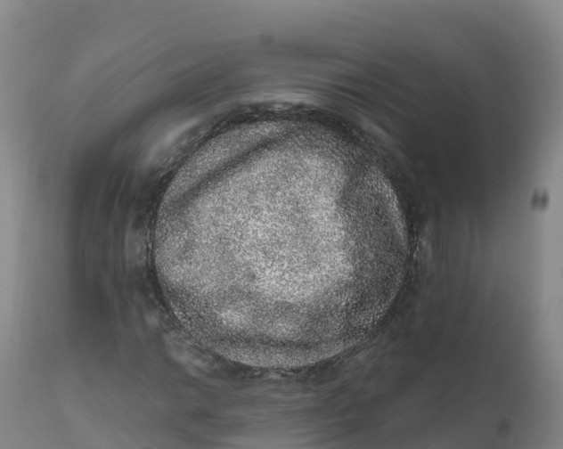 X0000111831014200908131541