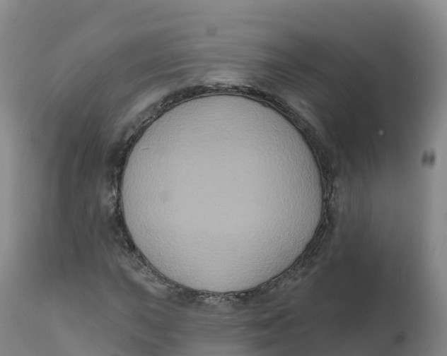 X0000111831015200908131541