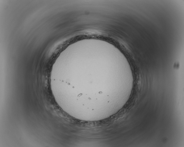 X0000111831016200908131541