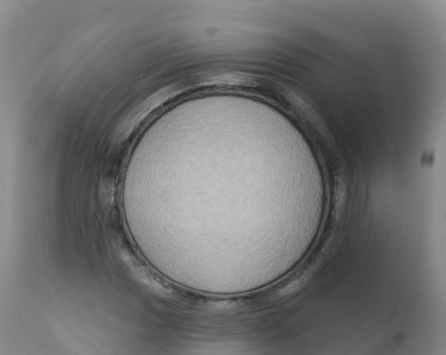 X0000111831017200908131541