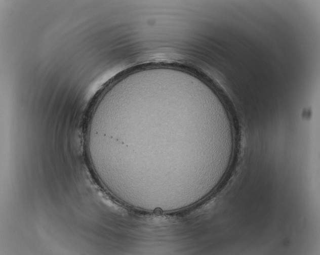 X0000111831018200908131541