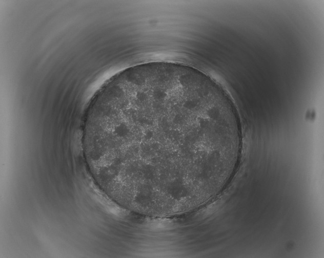 X0000111831019200908131541