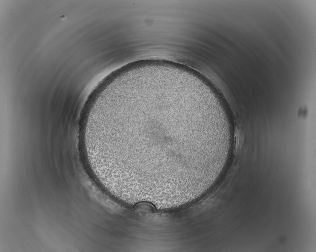 X0000111831020200908131541