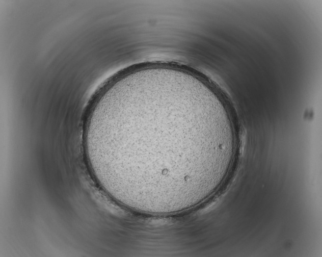 X0000111831021200908131541