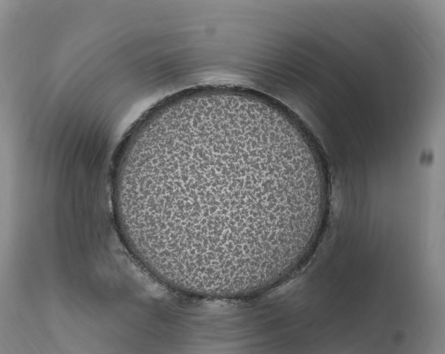 X0000111831022200908131541