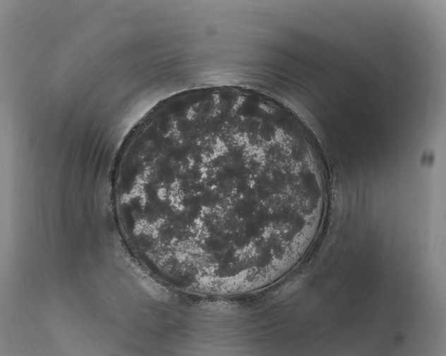 X0000111831023200908131541