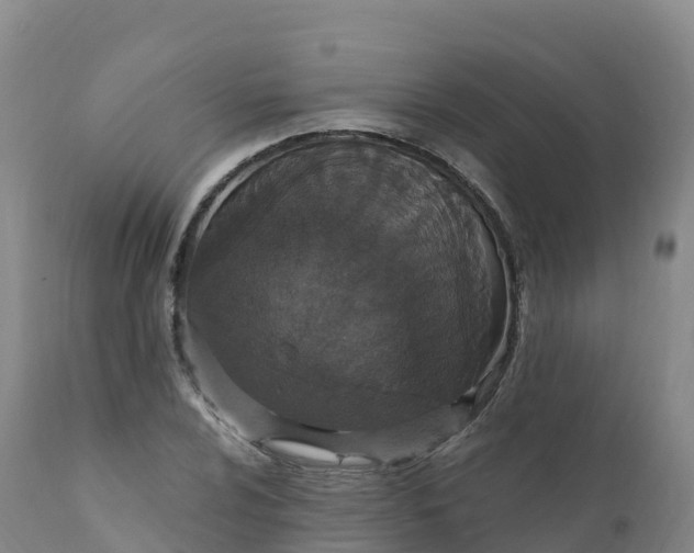 X0000111831024200908131541