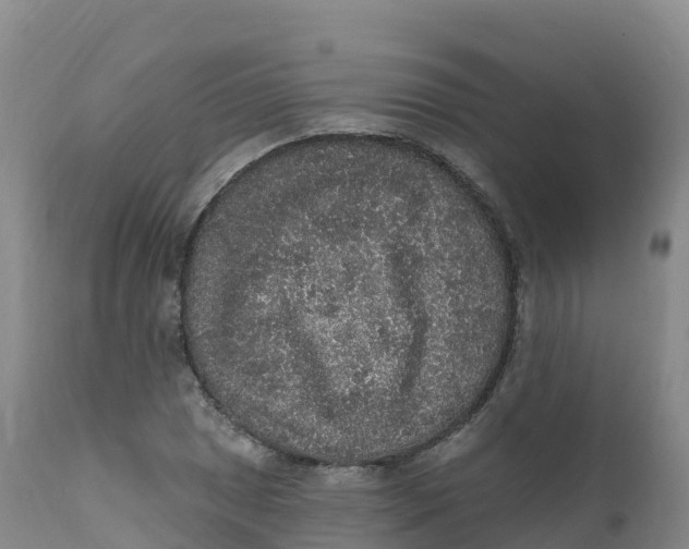 X0000111831025200908131541