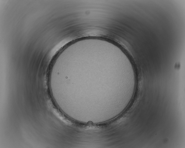 X0000111831026200908131541