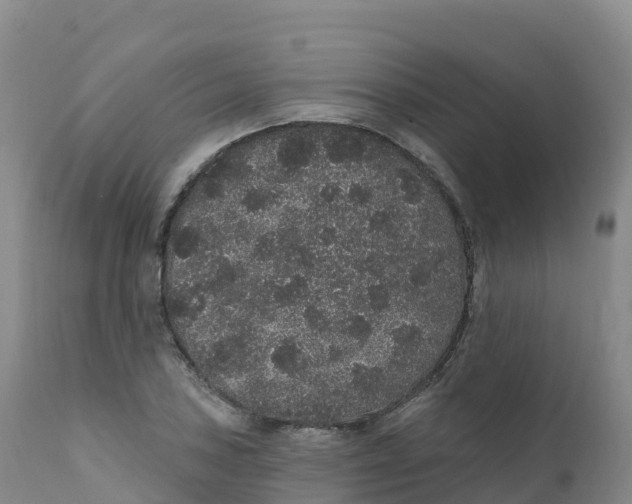 X0000111831027200908131541