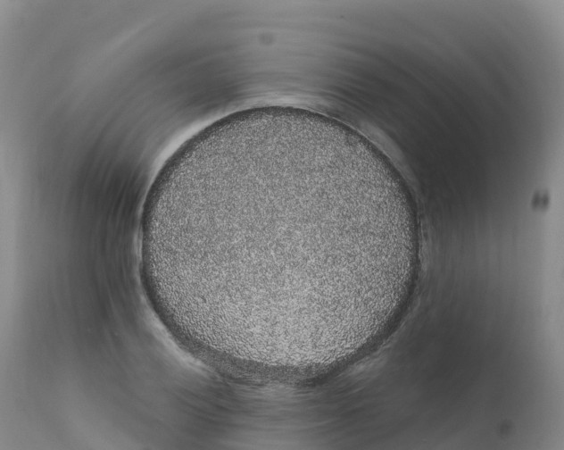 X0000111831028200908131541