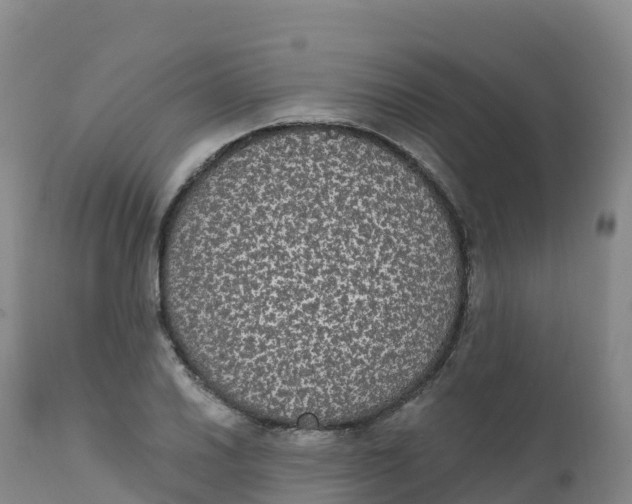 X0000111831030200908131541