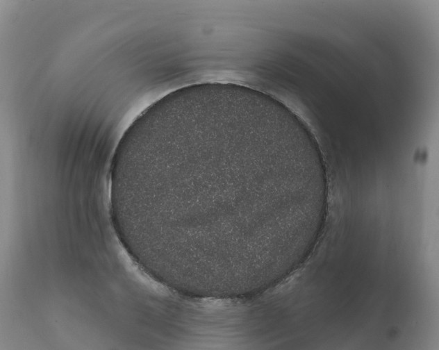 X0000111831032200908131541