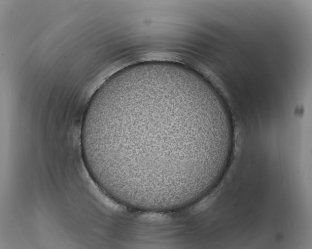 X0000111831033200908131541