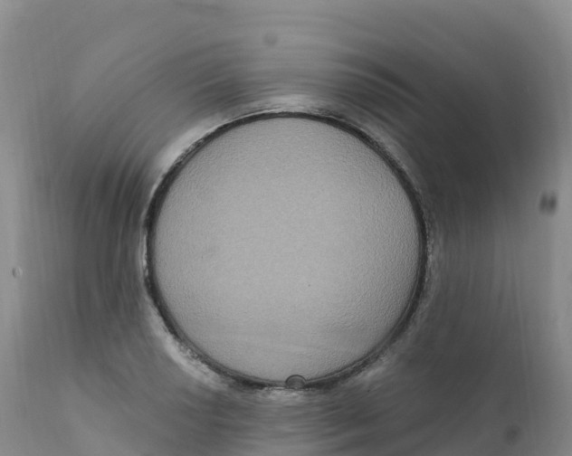 X0000111831034200908131541