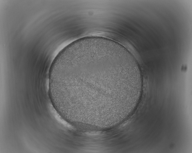 X0000111831036200908131541