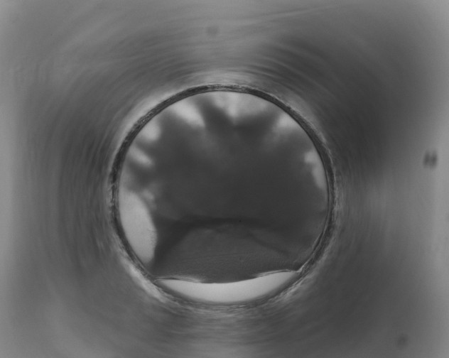 X0000111831037200908131541