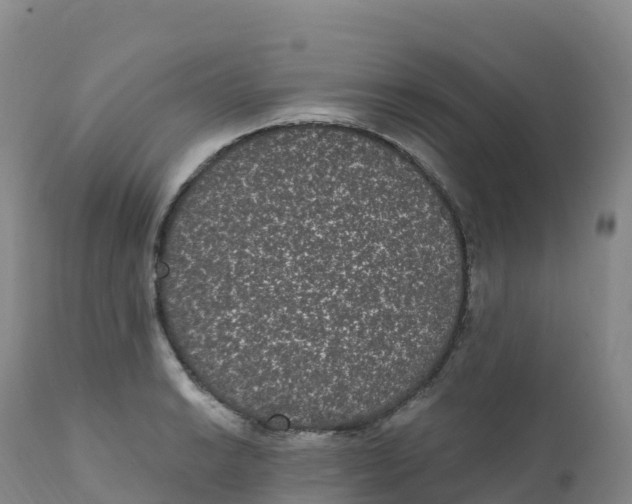 X0000111831038200908131541