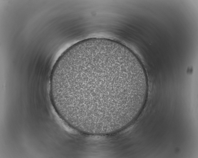 X0000111831040200908131541