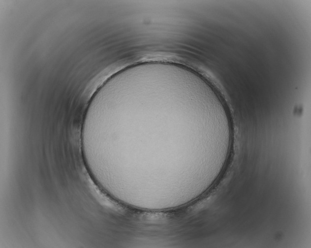 X0000111831041200908131541