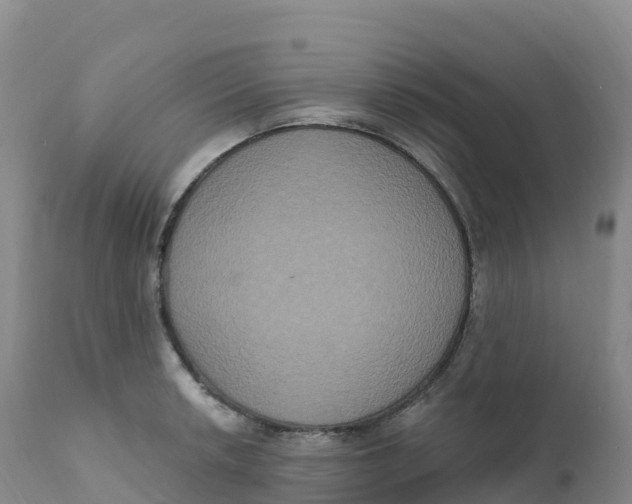 X0000111831042200908131541