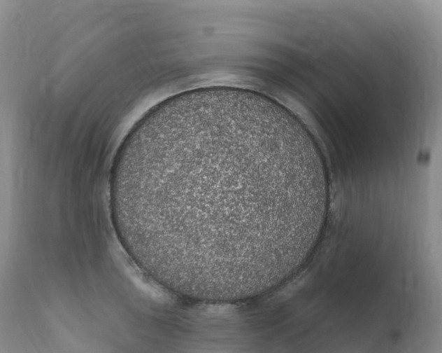 X0000111831043200908131541