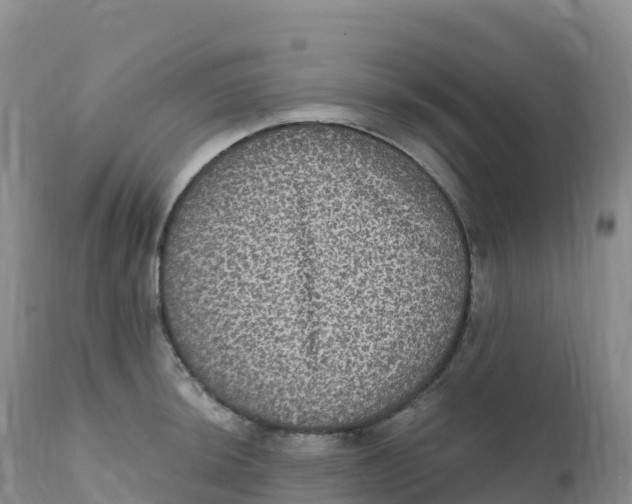 X0000111831044200908131541