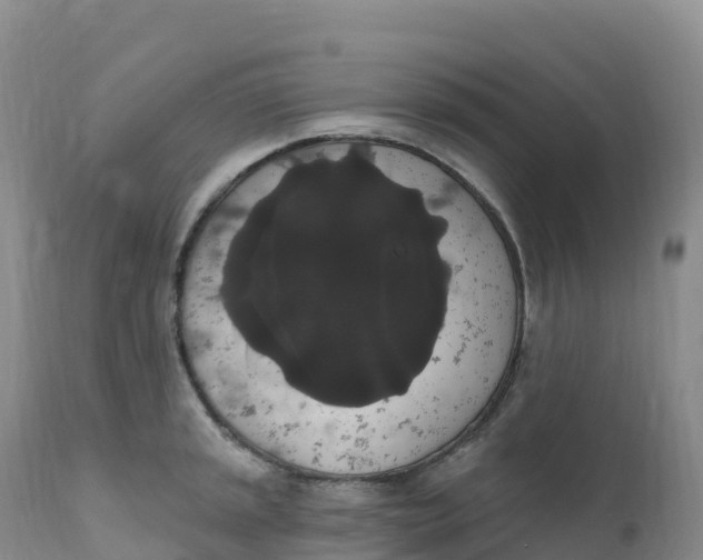 X0000111831045200908131541