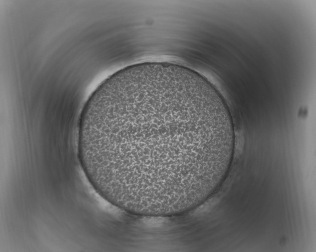 X0000111831046200908131541